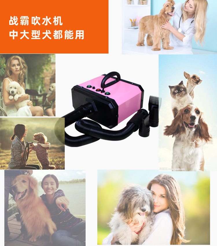 双电机吹水场合副本.jpg
