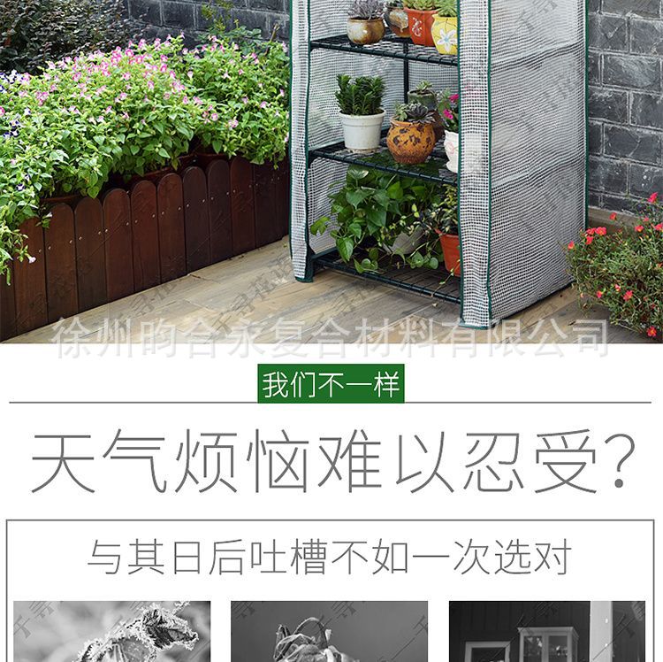 Foreign trade sources: Household flower rooms, greenhouses, small greenhouses, balconies, courtyards, greenhouses, green plants, succulents for winter