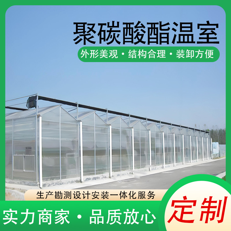 Polycarbonate greenhouse, galvanized steel pipe greenhouse frame, vegetable and fruit planting, sunlight board greenhouse