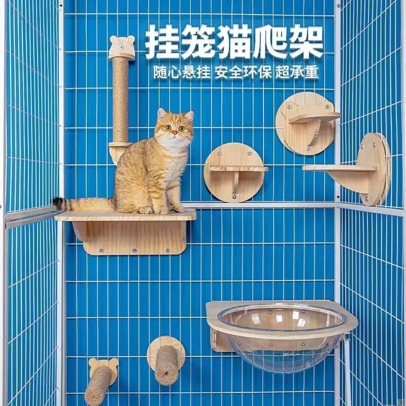 Кошачья клетка кошачья кошка на стене -на стене -космическая салона с трамплинарной панмингом