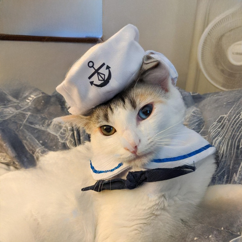 Новая домашняя одежда для костюмов и кошачья шляпа Sailor Clate