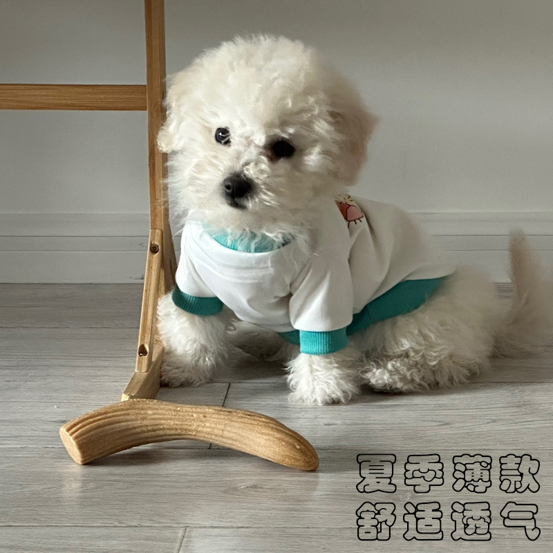 Summer Ins Pet Dogs и кошачья одежда четыре сезона