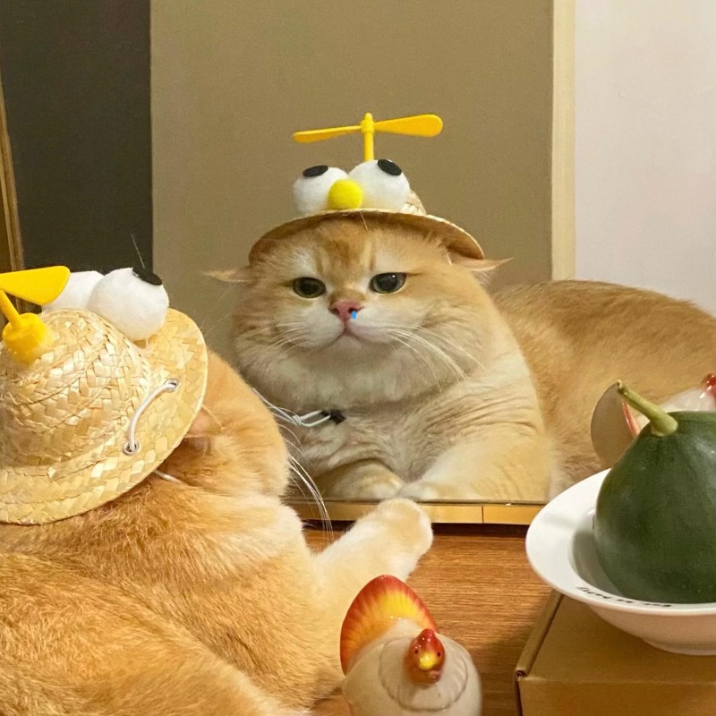 Домашняя собака, рыбацкая шляпа, кошка, милая бамбуковая стрекоза, подсолнух, шляпа для щенка, соломенная шляпа для котенка, солнцезащитная шляпа, оптовая продажа