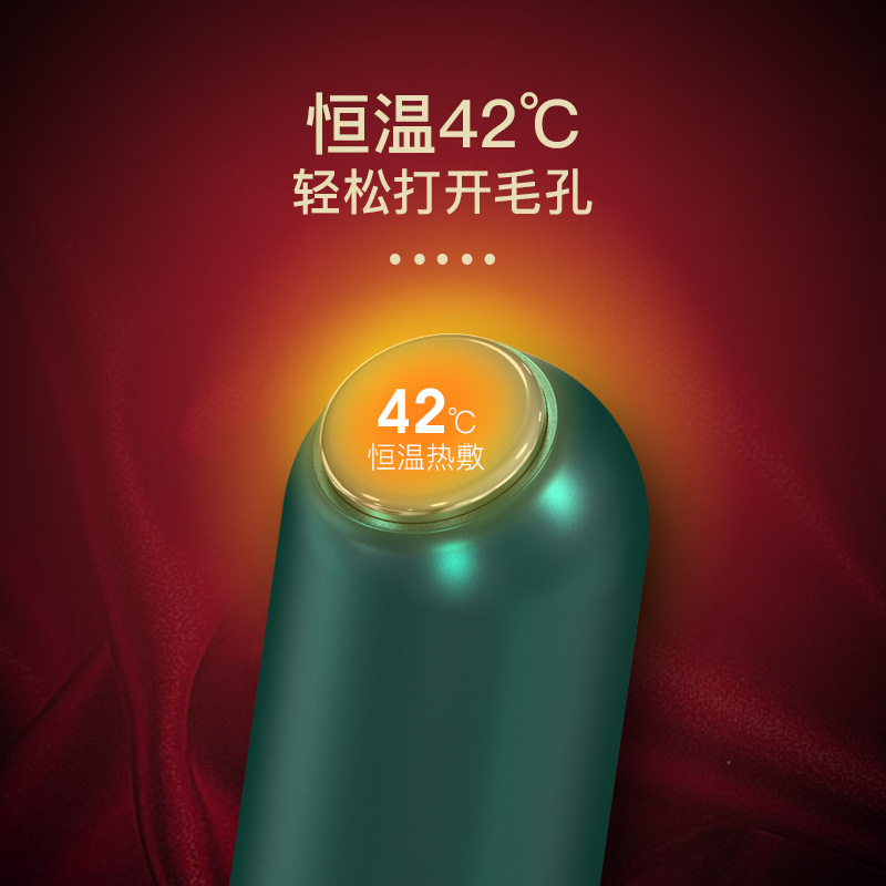 Вакуумный очиститель пор для лица HX-04 с LED-терапией