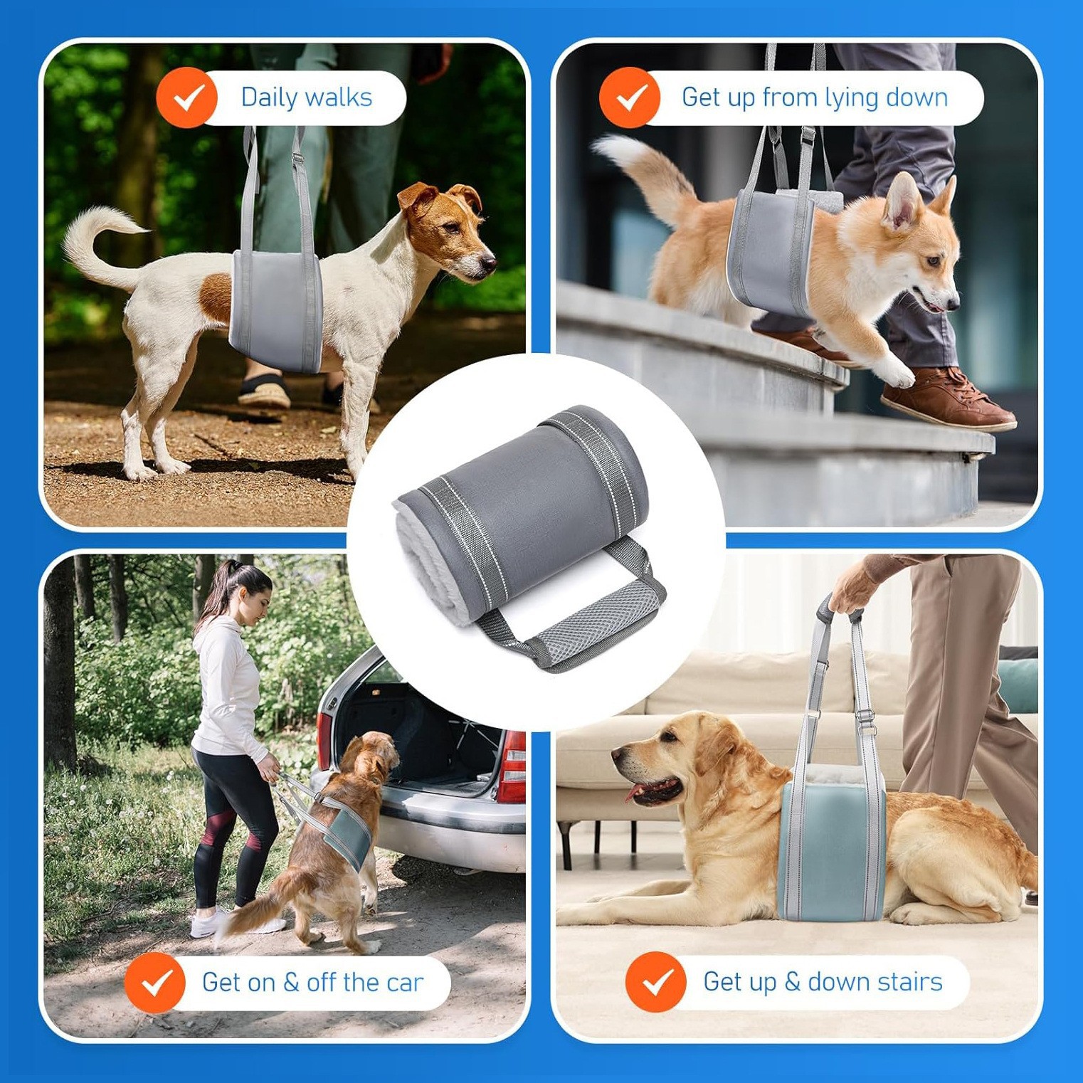 Новый продукт Amazon Hind Assistant с пожилыми упражнениями по восстановлению собак с собаками поднялся наверх, чтобы помочь с