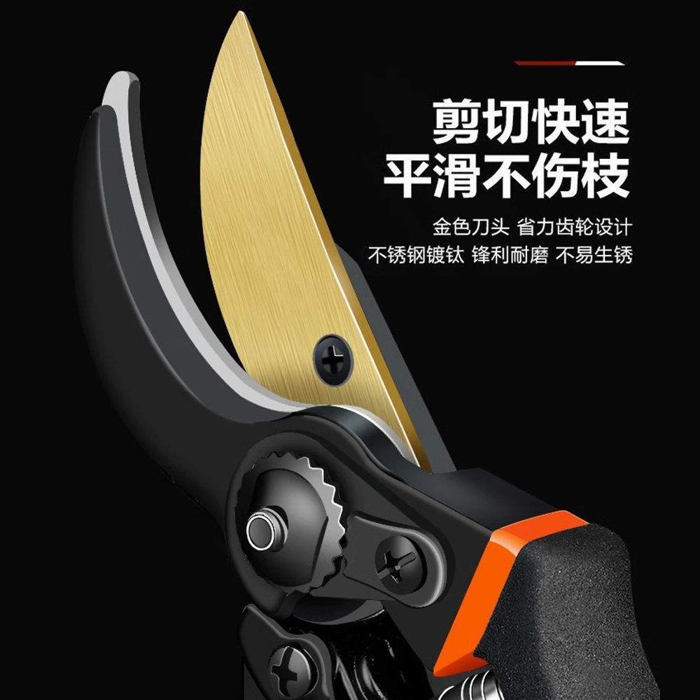 Pruning shears, gardening shears, specialized shears for pruning tree branches, garden pruning, new pruning shears for fruit trees, pruning floral arrangements, pruning shears