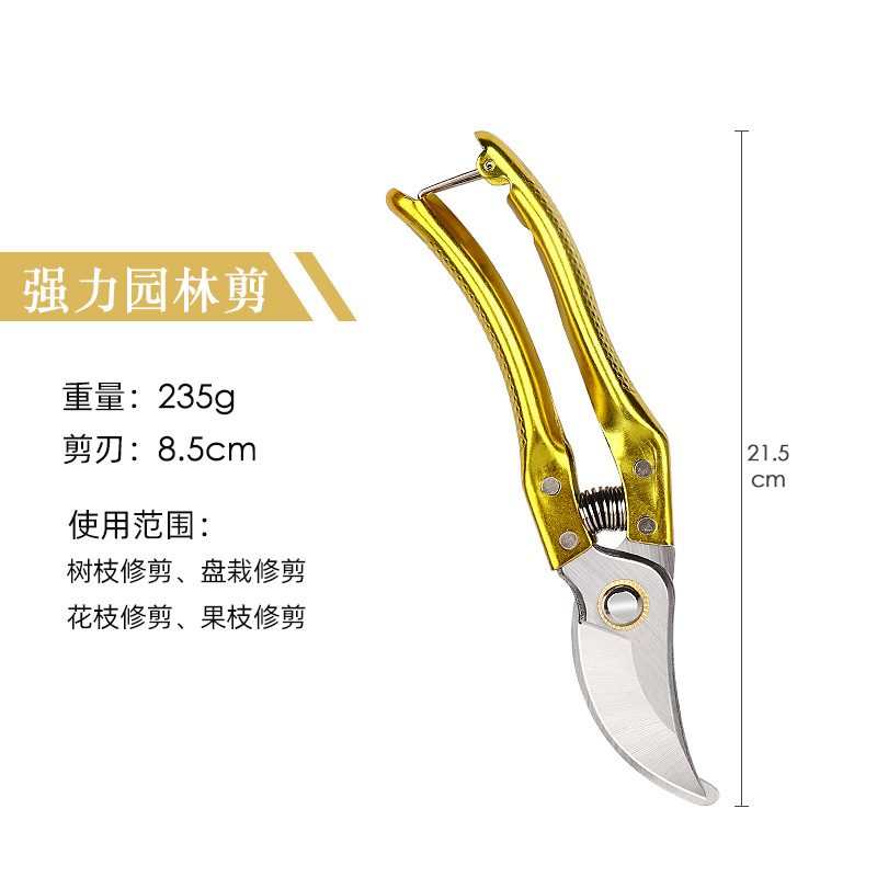 Pruning shears, gardening shears, specialized shears for pruning tree branches, garden pruning, new pruning shears for fruit trees, pruning floral arrangements, pruning shears