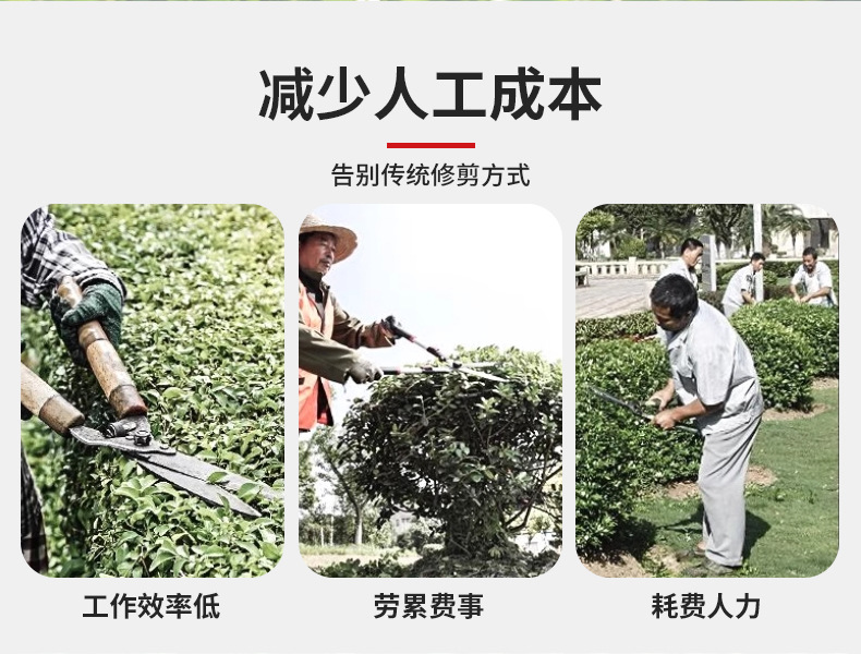 Gasoline hedge trimmer, single blade tea tree trimmer, multifunctional tea picking machine, shrub trimmer, pruning machine, pruning machine