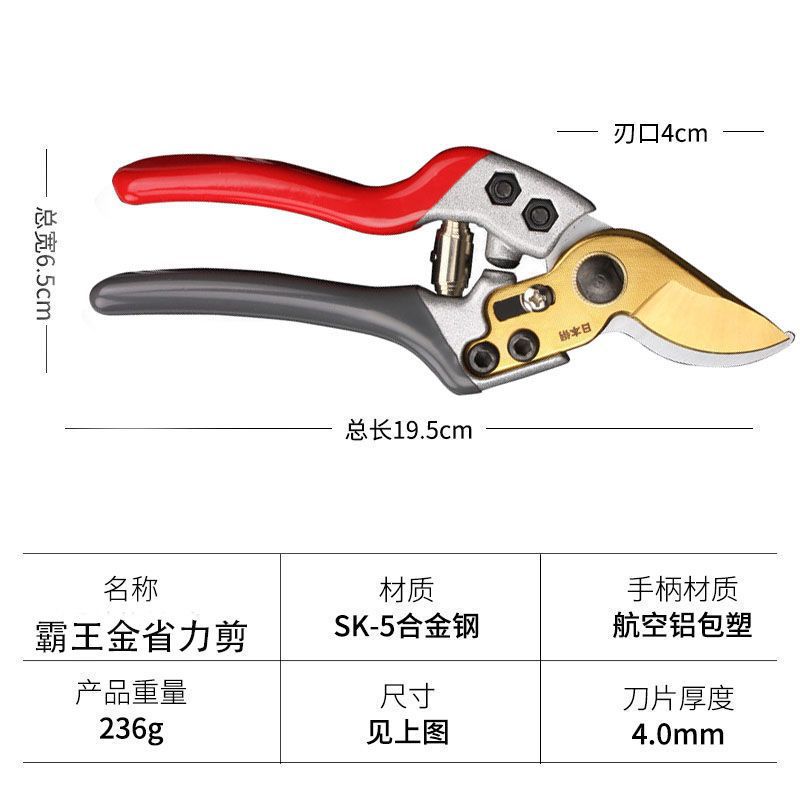 Pruning shears, gardening shears, specialized shears for pruning tree branches, garden pruning, new pruning shears for fruit trees, pruning floral arrangements, pruning shears