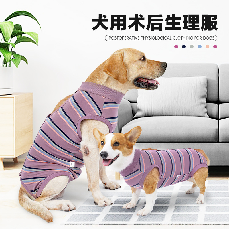 Cross -Bordder Pet предоставляет собаку собаку Магическую патч за буквы за буквами физические физические физические услуги могут положить мочи.