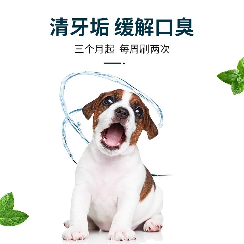特瑞仕 Зубная паста, зубная щетка, комплект