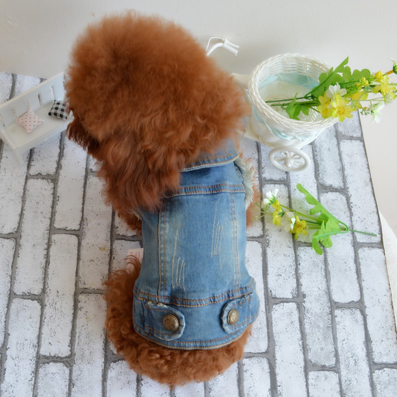 Тедсенальная одежда для любимой собаки Тедди VIP Bichon Pet осень и зимняя одежда ретро захват персонализированный джинсовый жилет