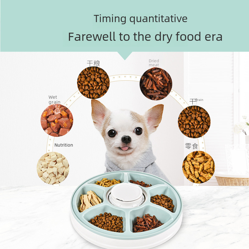 Six Gaduge большая -мощность Timmers Pet Intelligent Automatic Timing Fedback Music напоминание нет логотипа
