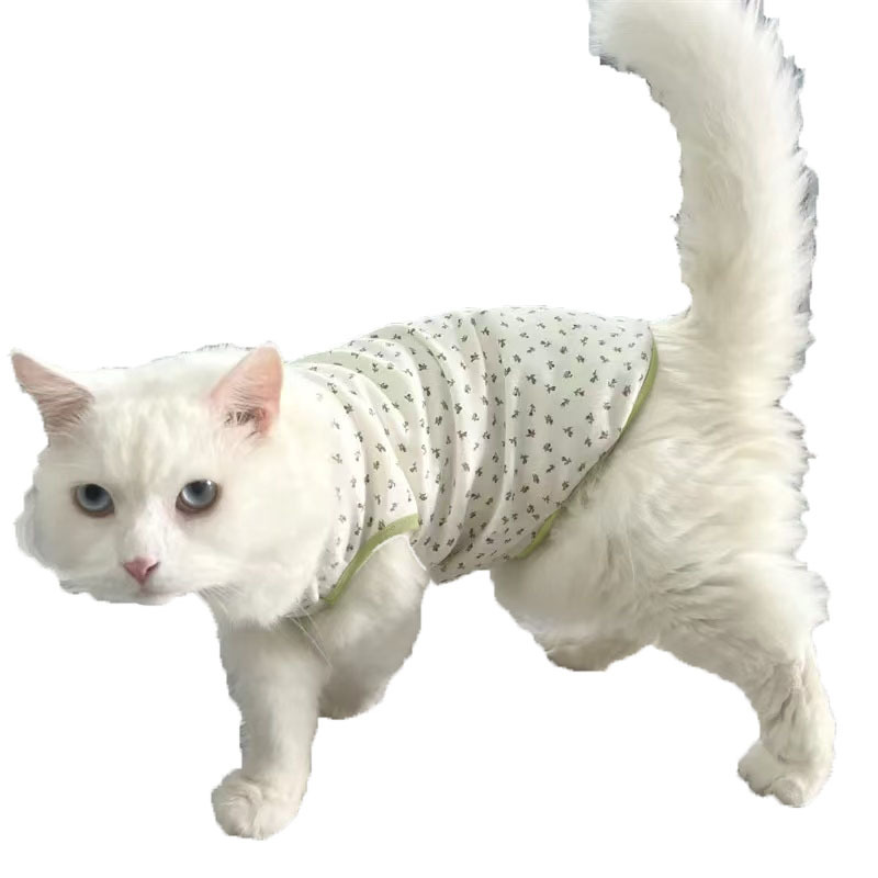 Hello kitty, осенний жилет, тонкий шнурок-держатель, летняя одежда