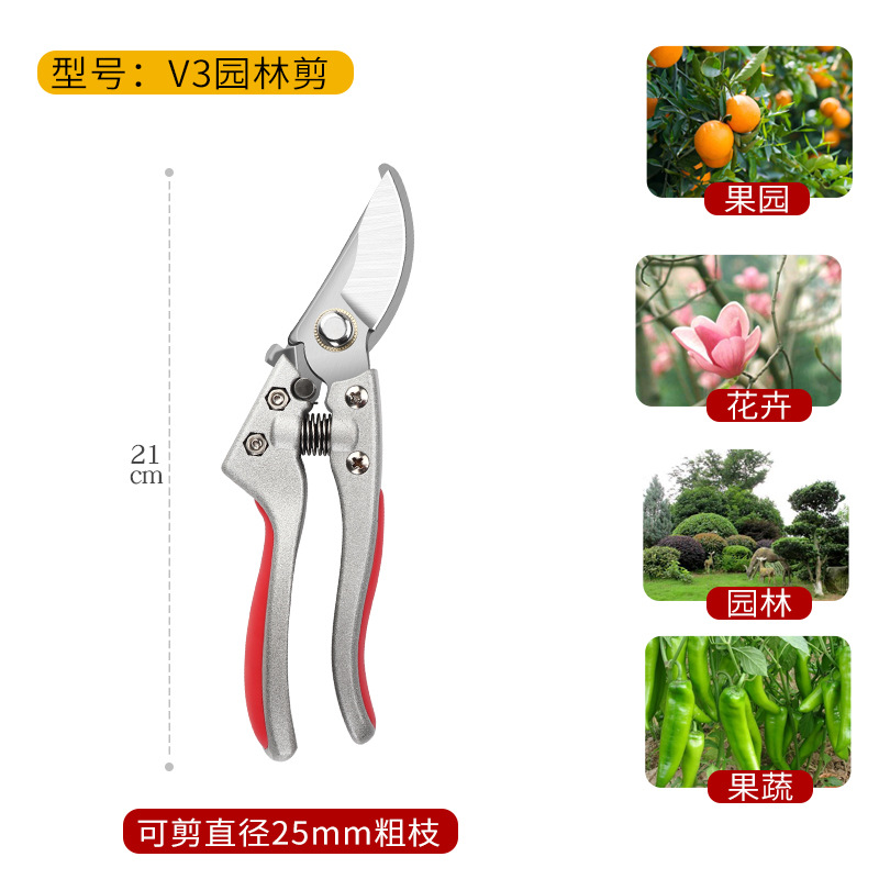 Pruning shears, gardening shears, specialized shears for pruning tree branches, garden pruning, new pruning shears for fruit trees, pruning floral arrangements, pruning shears