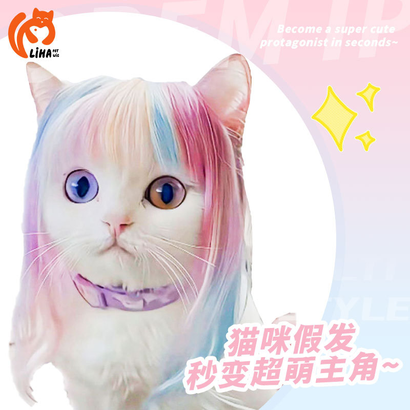 Cross -Bordder New Pet Cat Dlo