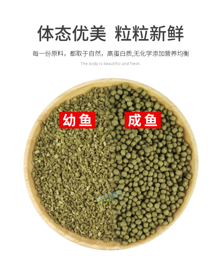 金鱼桶-300g_07