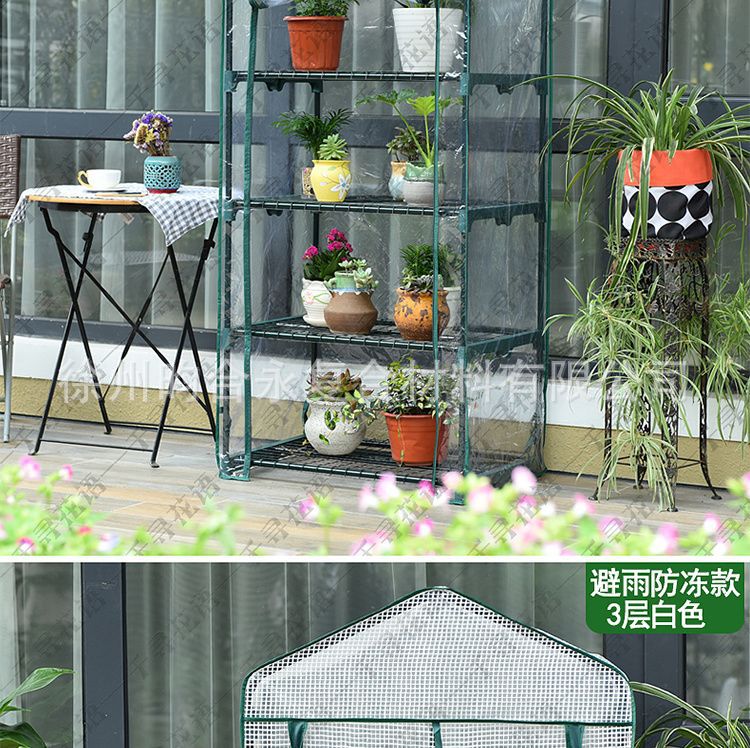 Foreign trade sources: Household flower rooms, greenhouses, small greenhouses, balconies, courtyards, greenhouses, green plants, succulents for winter