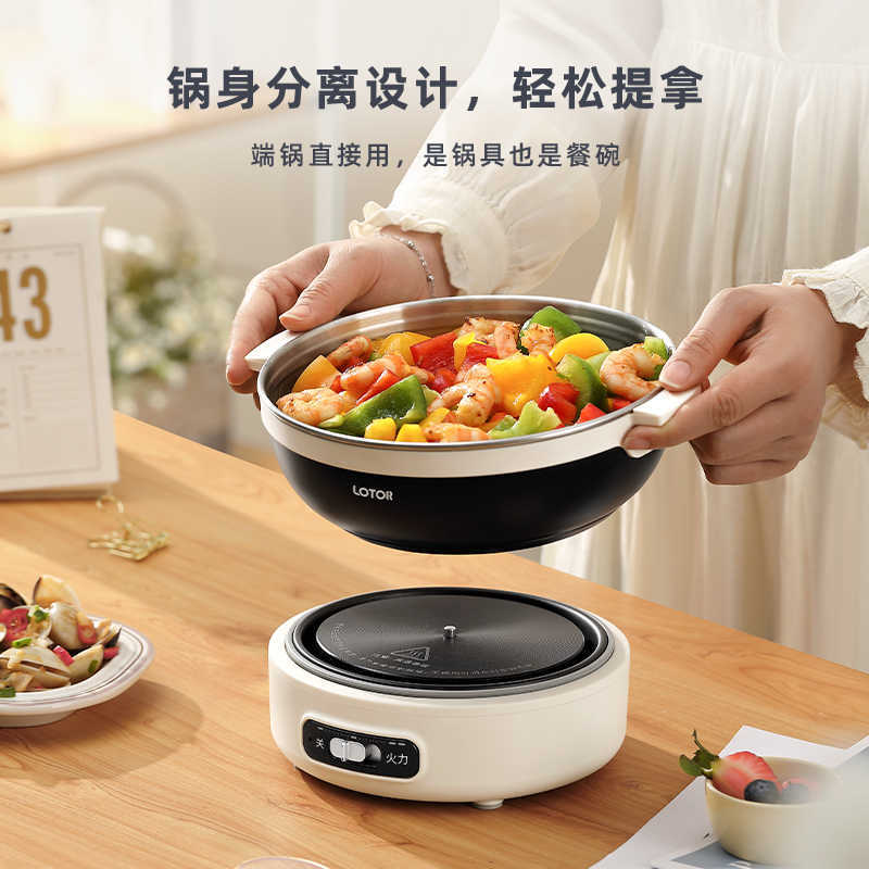 Электрическая кастрюля-мультиварка LOTOR FT-G01-MB портативная