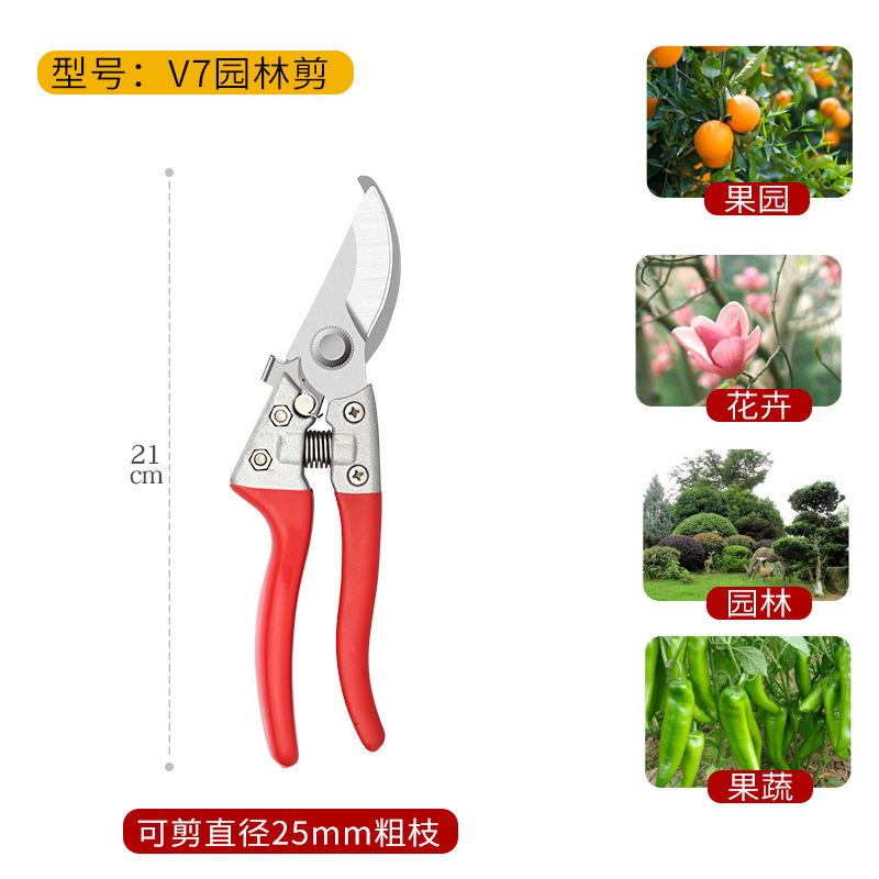 Pruning shears, gardening shears, specialized shears for pruning tree branches, garden pruning, new pruning shears for fruit trees, pruning floral arrangements, pruning shears