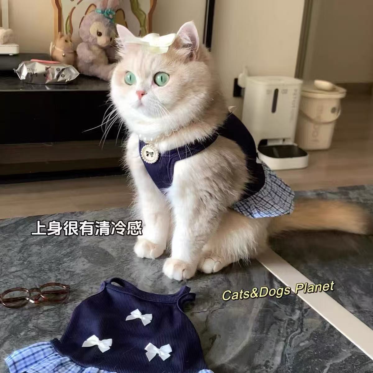 Собачья одежда весна и летняя Померанская маленькая кошачья собачья юбки Академия.