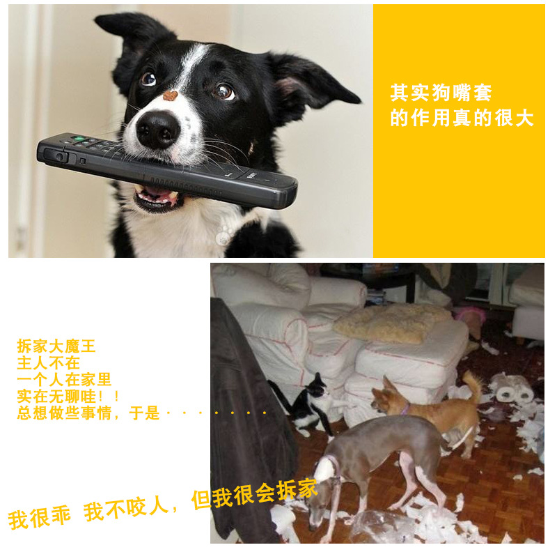 未标题-2狗嘴套_11.jpg