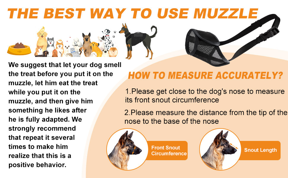 THE BEST WAY TO USE THE MUZZLE