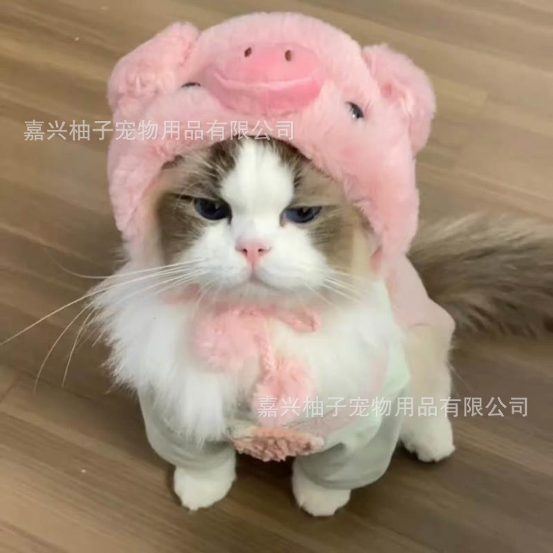 Кошачья головка милый маленький шляпная шляпа Pet Puppy Puppy malzis yingxiabi медведь милый выстрел