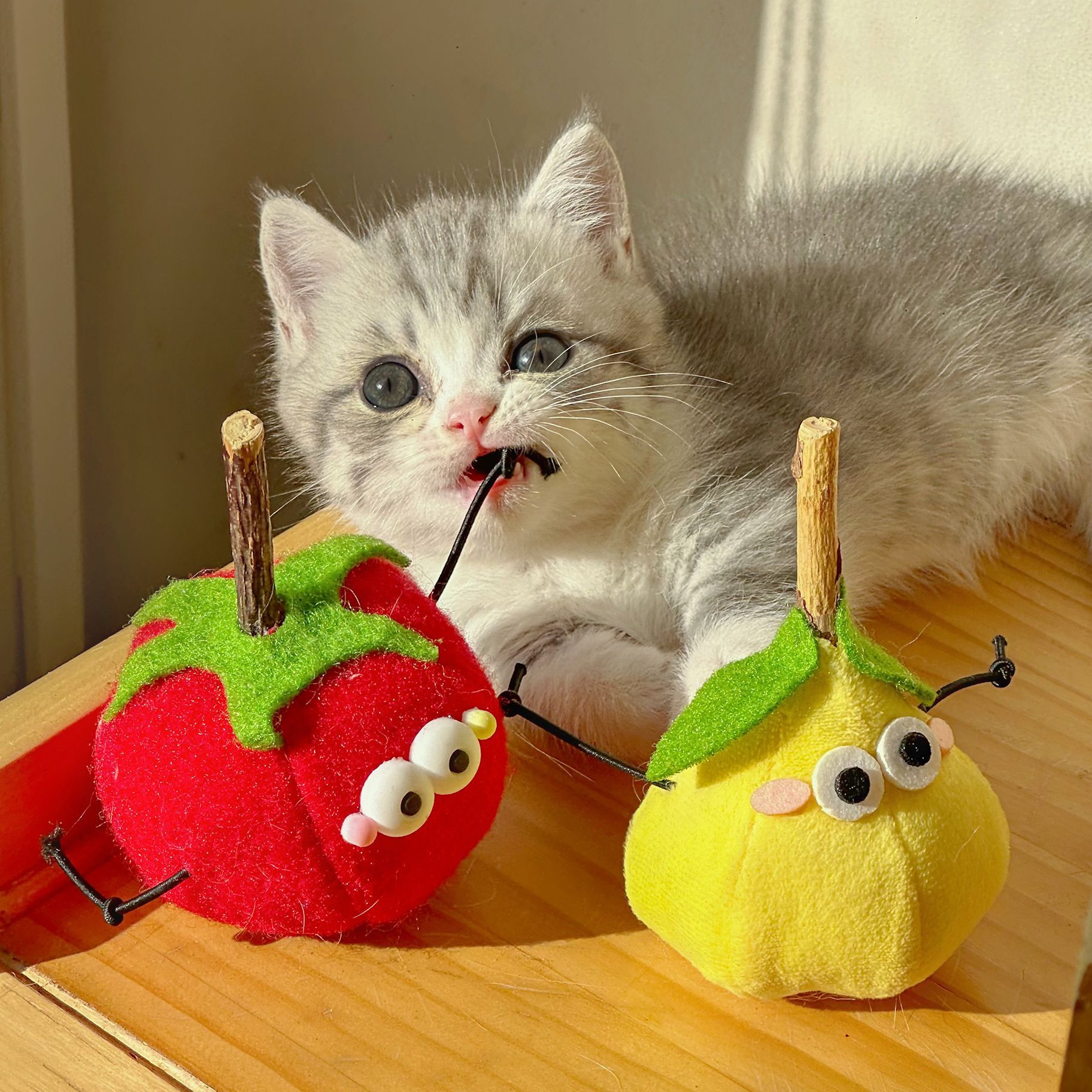 Милая интерактивная игрушка, издает звуки, кот, избавление от скуки