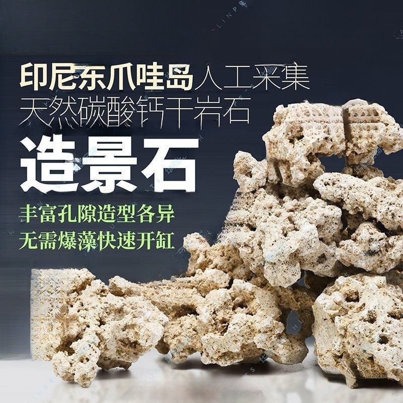 Java Stone Dry Rock Sea Bar Landstone в Индонезии заменяет живой сидень морской камень коралл искусственно эксплуатирует культуру мертвых камней