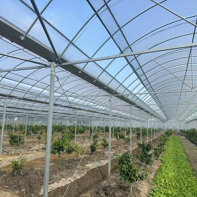 Integrated greenhouse for direct supply of vegetables, fruits and vegetables, integrated greenhouse for foreign trade, connected greenhouse for thermal insulation, greenhouse for sunshade film