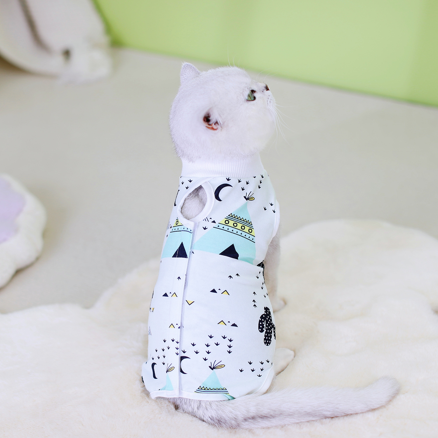 2024 Cat Coolmark Hurergy Surgery самка кошка Broken Catal Pet Pats Supplies после Catal Cat