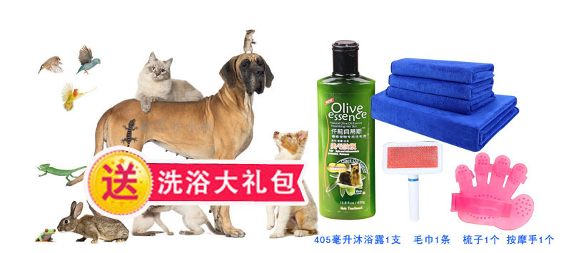 送礼图副本