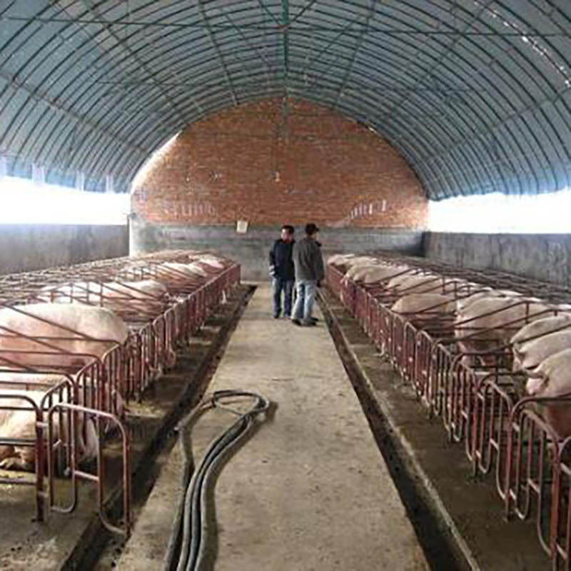 Farm greenhouse, flower garden, various specifications of materials, intelligent breeding greenhouse, steel pipe skeleton design and installation