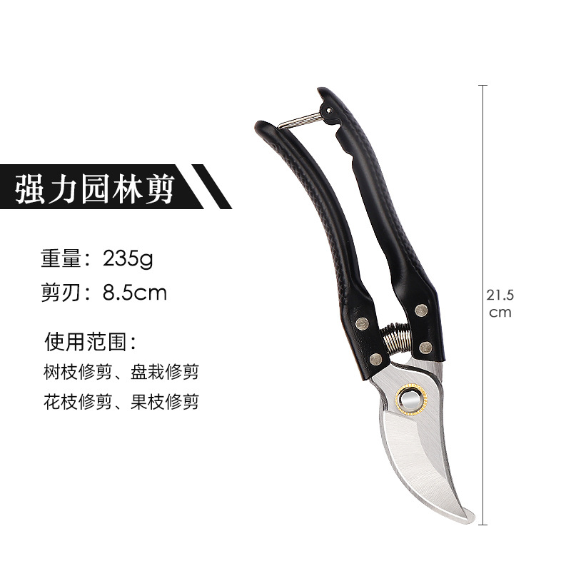 Pruning shears, gardening shears, specialized shears for pruning tree branches, garden pruning, new pruning shears for fruit trees, pruning floral arrangements, pruning shears