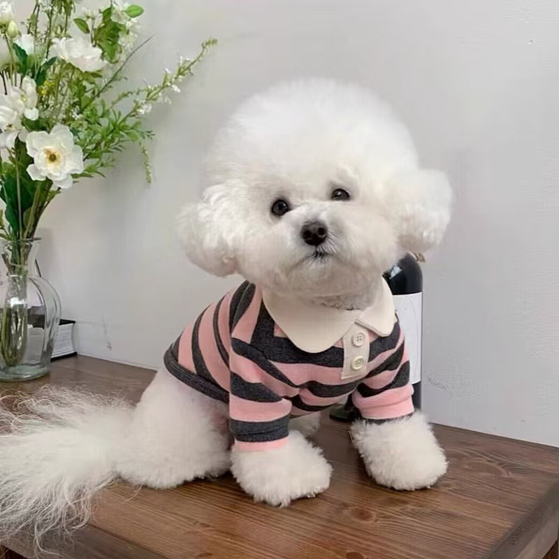 Рубашка Pet Polo Snhip, Мари Мельзиус Тедди Йинсиаби красота VIP -одежда для собак маленькая собака
