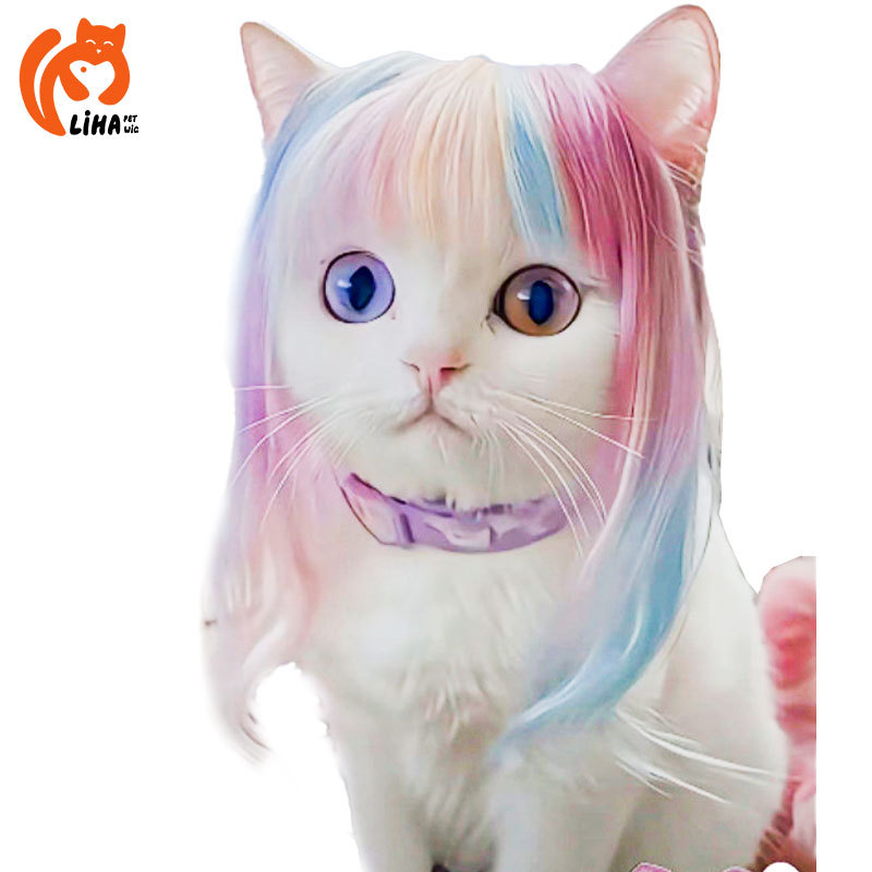 Cross -Bordder New Pet Cat Dlo