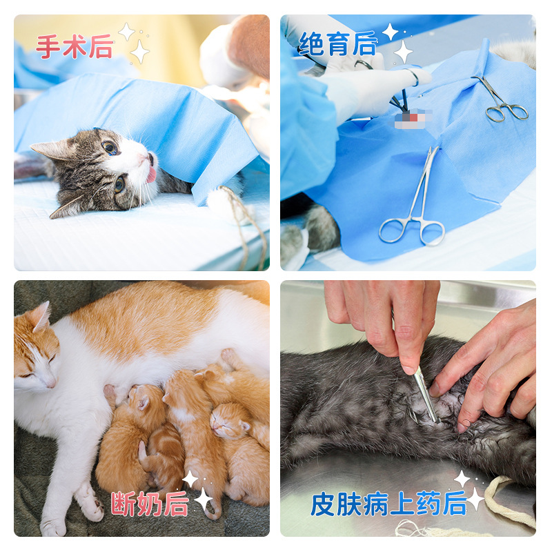 Костейные костюмы для кошек для предотвращения удаления, анти-царапины и выпадения волос, костюмов после отъема для отъема костюмов, регулируемой одежды для кошек, костюмов стерилизации домашних животных.