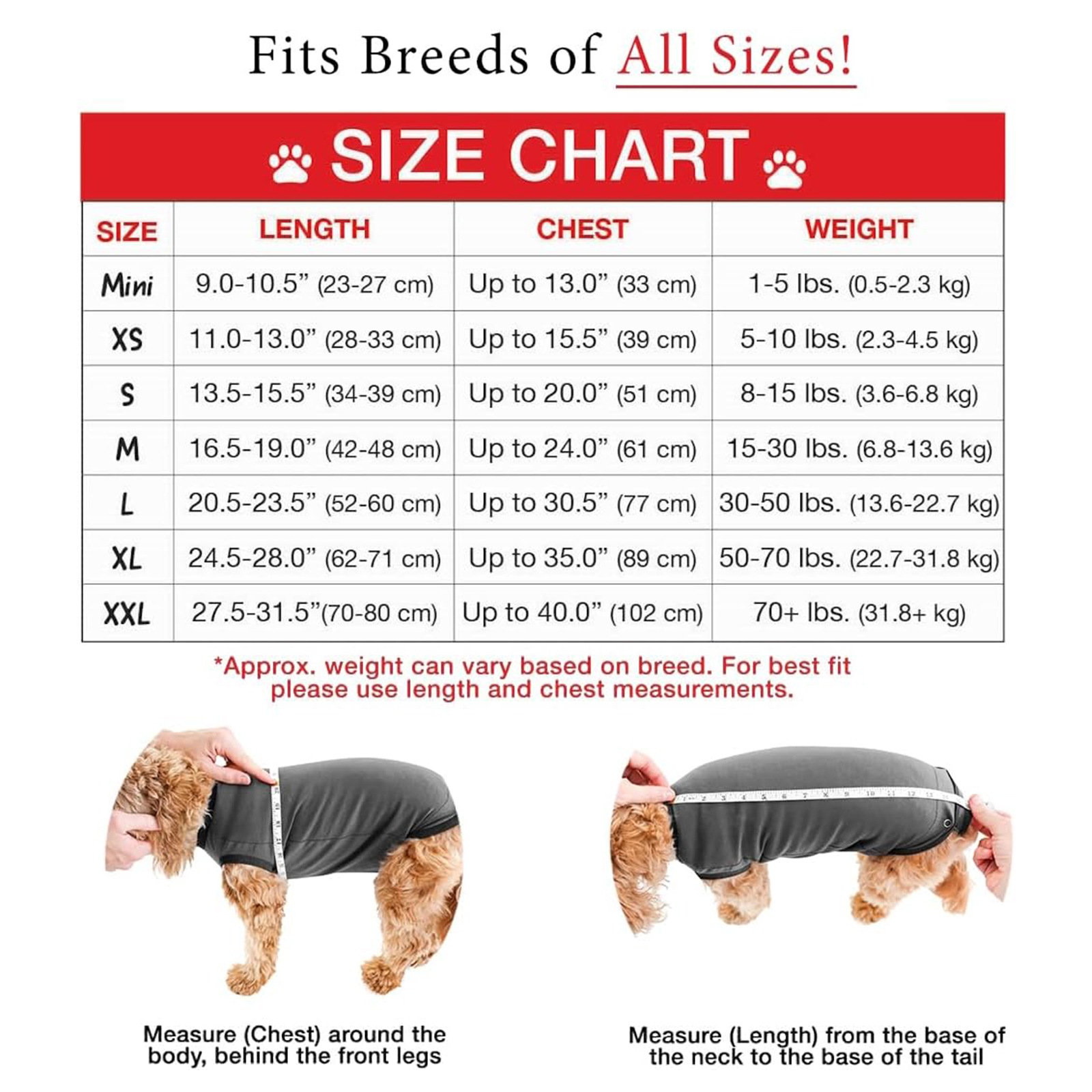 Сестрая Amazon Popular Dog Physiology, Teddy, Golden Retriever, Husky, Schnauzer