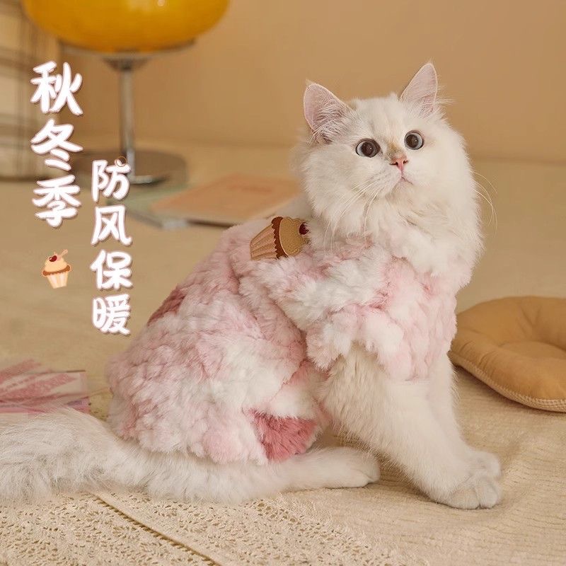Кошачья одежда в зимней теплой котенок котенка на английском языке на английском