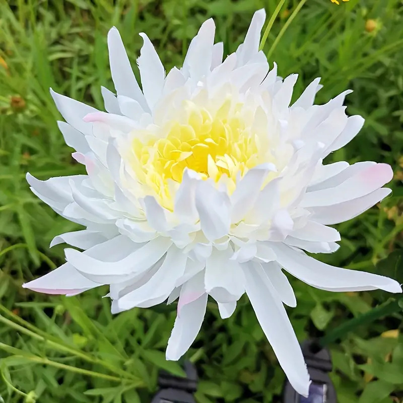 Solar simulation chrysanthemum automatic sensing single head decoration courtyard garden wedding props silk atmosphere lamp