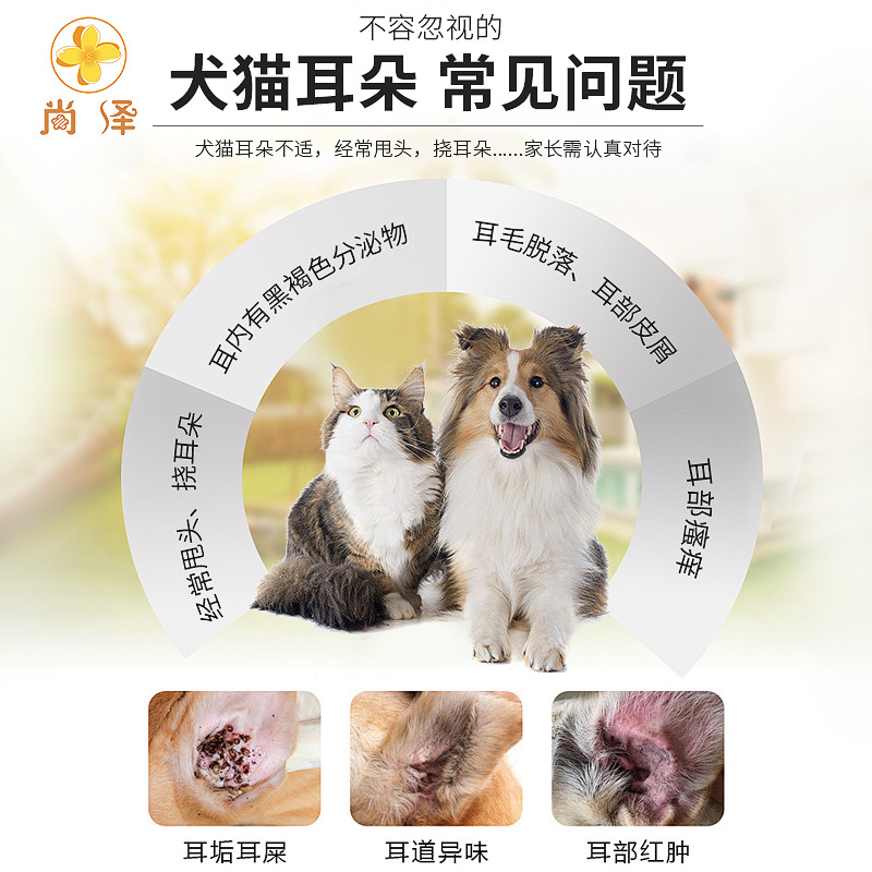 Ушные уши ушей, кошки, собаки и собаки, ушная сера, ушные клещи, ушной канал, ушные растворы для очистки растворов.