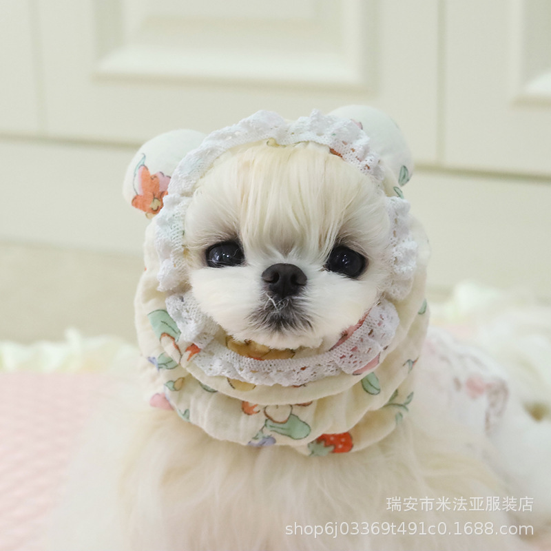 Mafa Pet Cats and Dogs, чтобы съесть анти -пышное хлопковое кружево милый и забавный INS, занимая трехмерного ушного медведя