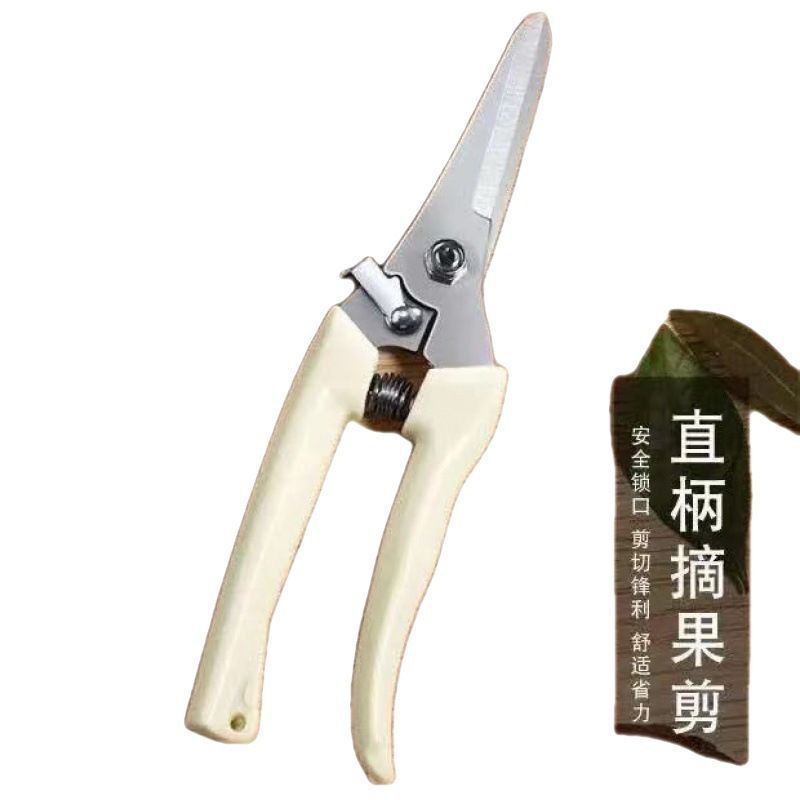Strong stainless steel pruning shears for rough branches, orchard fruit picking, specialized flower pruning and fruit thinning, multifunctional garden tree branches shears