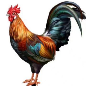 3D Courtyard Rooster Acrylic Mirror Yardart Garden Outdoor Decoration Ornaments Creative Courtyard Ornaments