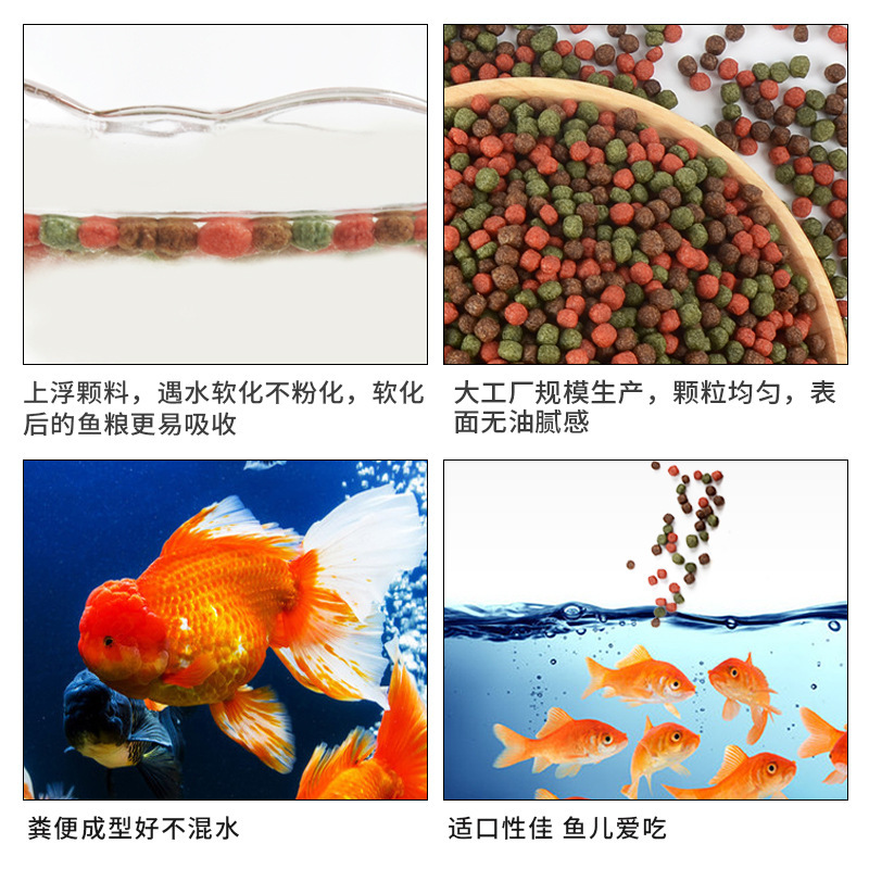 Koi Fish Feed Goldfish Рыбайте рыбу и зерно. Оригинальный цвет декоративная рыба для рыбы