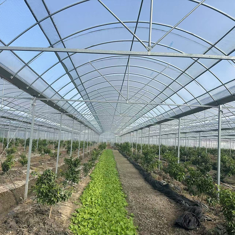 Integrated greenhouse for direct supply of vegetables, fruits and vegetables, integrated greenhouse for foreign trade, connected greenhouse for thermal insulation, greenhouse for sunshade film