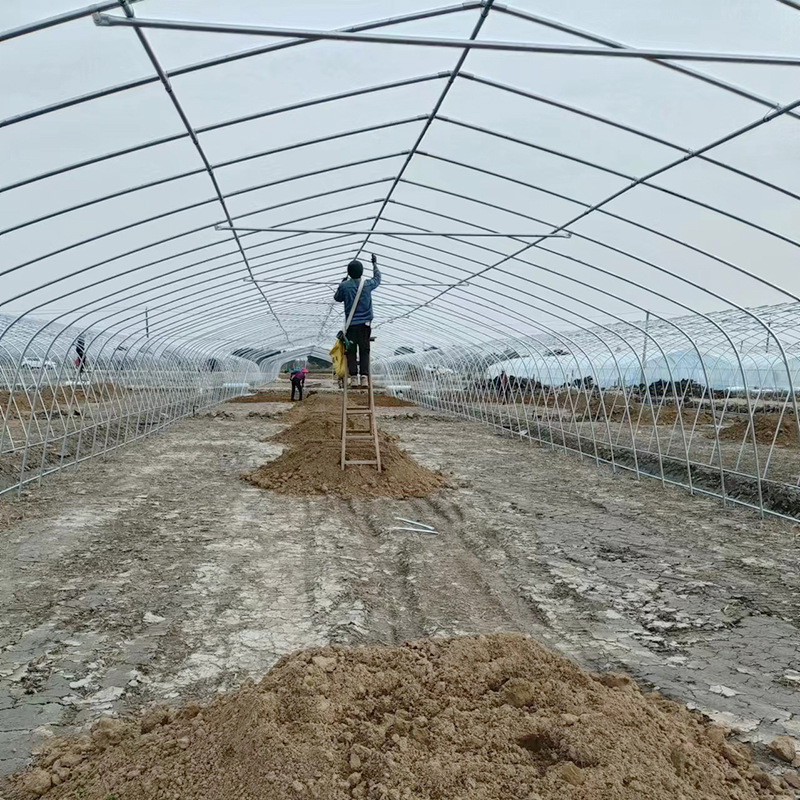 Single temperature chamber greenhouse skeleton installation, simple household flower and vegetable cultivation greenhouse, vegetable planting single greenhouse
