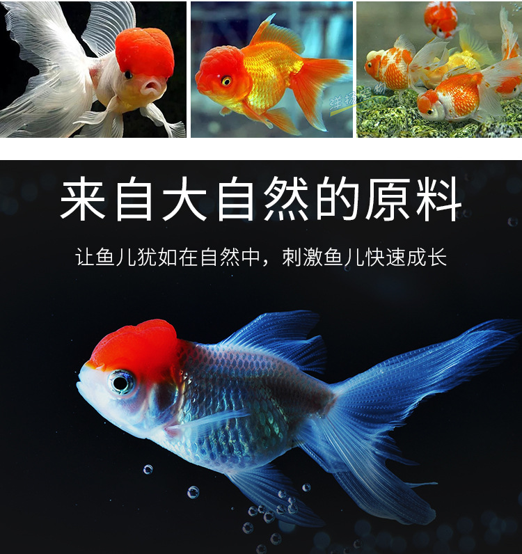 金鱼桶-300g_03