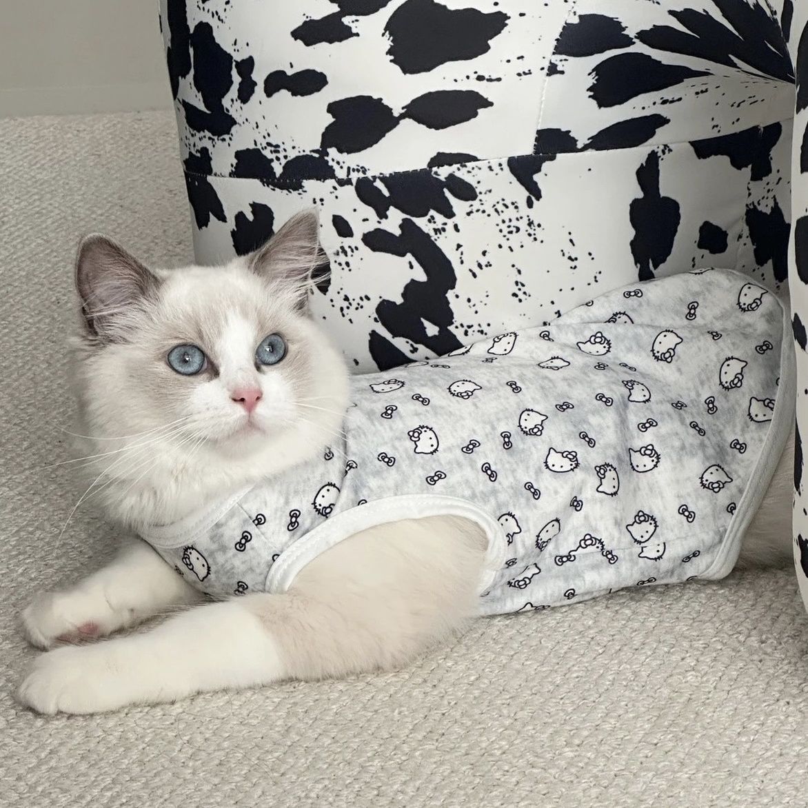 Hello kitty, осенний жилет, тонкий шнурок-держатель, летняя одежда